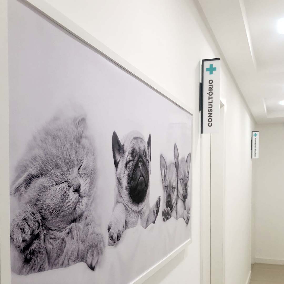 Centro Medico Veterinario quadro pets e placas de sinalizacao de portas