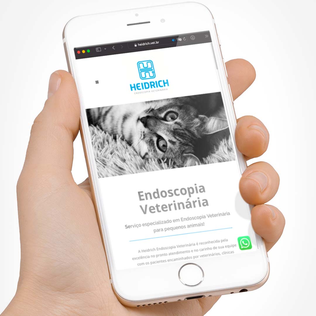 heidrich endoscopia veterinaria site responsivo