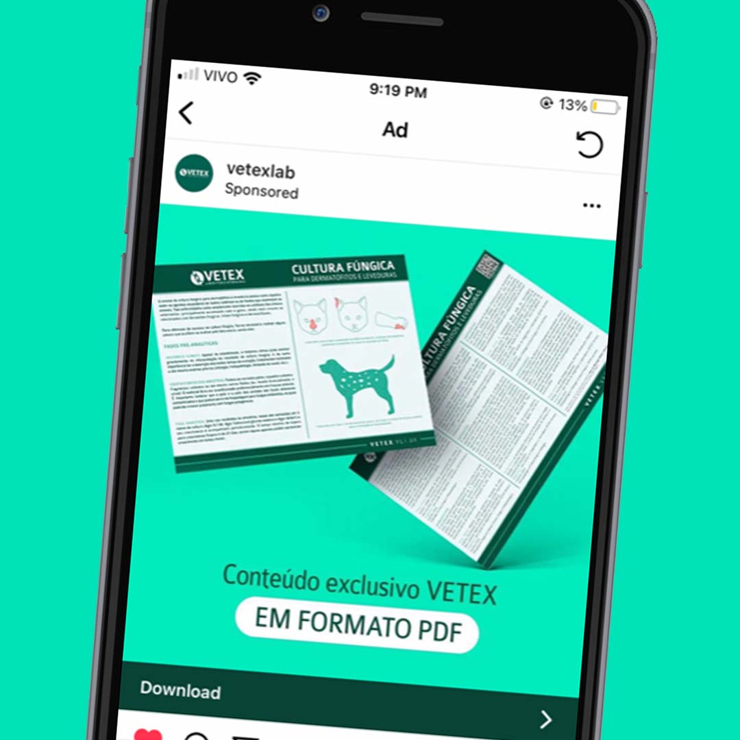 vetex laboratorio veterinario conteudo inbound marketing anuncio pdf fungos