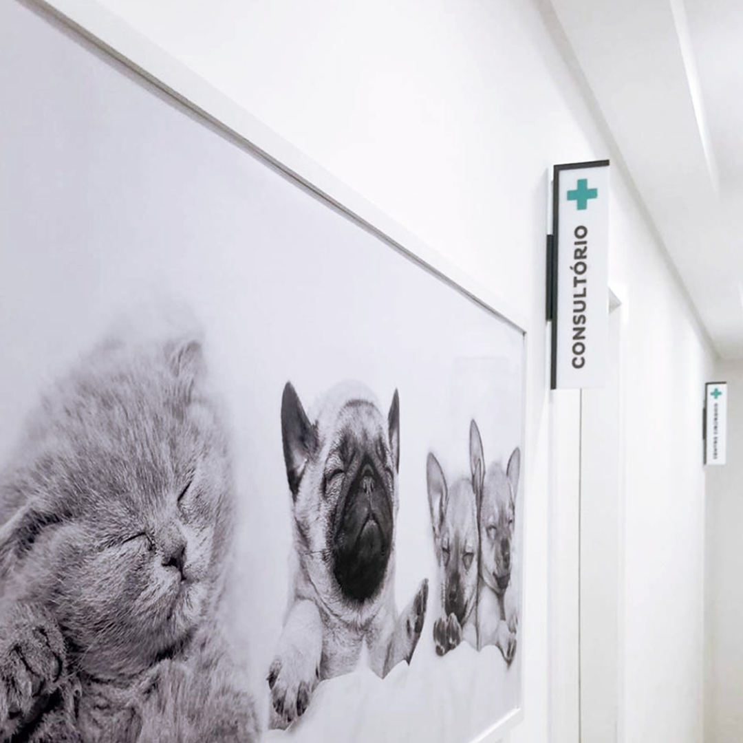 Identidade Visual, Comunicação Visual e Sinalização para Centro Médico Veterinário de Balneário Camboriu fotos pets